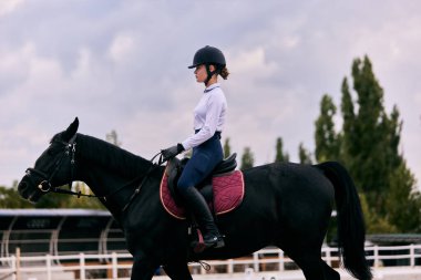 Binicilik sporu. Genç bir kızın portresi, sonbahar günü açık havada binicilik eğitimi alan acemi bir kadın sürücü. At terbiyecisi. At biniciliği. Spor anlayışı, zarafet, reklam, aktif yaşam tarzı