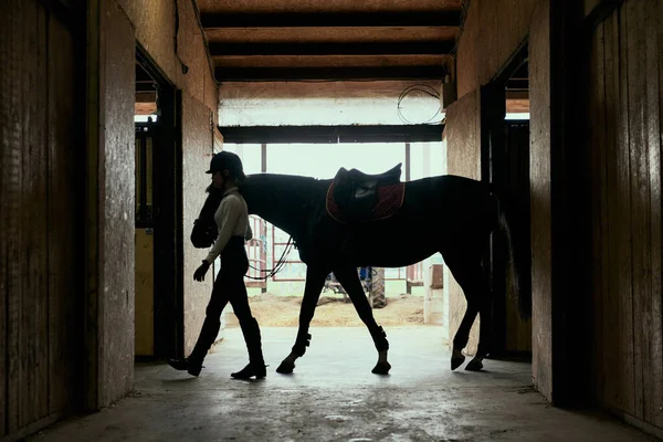 Live portrait of young girl, teen, beginner rider in sports uniform and helmet going with horse to arena. Lifestyle mood. Concept of nature, animal, care, sport. Future champion