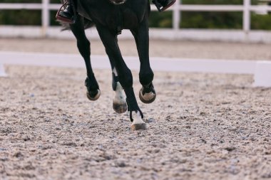 Ayakları spor atı ve binicisi kum biniciliği sahasında, açık havada. Binicilik sporu. Arenada at terbiyecisi. Spor anlayışı, rekabet, hayvan, reklam