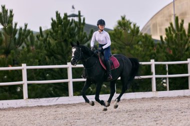 At sırtında gezen bir kadın binici, kumlu arenada, kırsal alanda, yaz gününde, açık havada. At terbiyecisi. At biniciliği. Spor anlayışı, zarafet, reklam, aktif yaşam tarzı