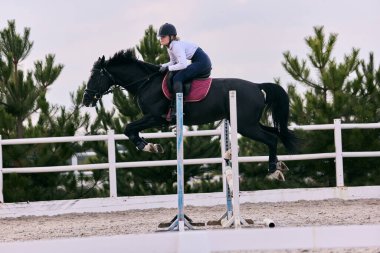 Jump over barrier. Portrait of young woman, female rider training at riding arena in summer day, outdoors. Dressage of horses. Horseback riding. Concept of sport, grace, ad, active lifestyle
