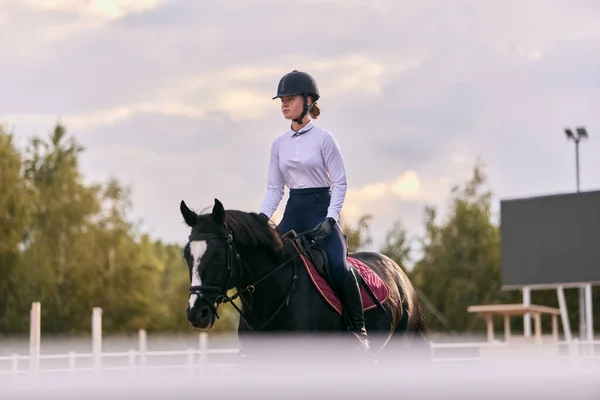 スポーツアリーナで黒馬に乗ってスポーツ制服やヘルメットで若いスポーツ少女 プロのジョッキーや馬の女性 馬の衣装 乗馬だ スポーツ 優雅さ 広告の概念 — ストック写真