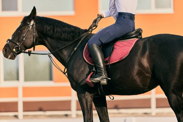 Closeup Riders Foot Stirrup Equestrian Sport Dressage Horses Horseback Riding — Foto de Stock