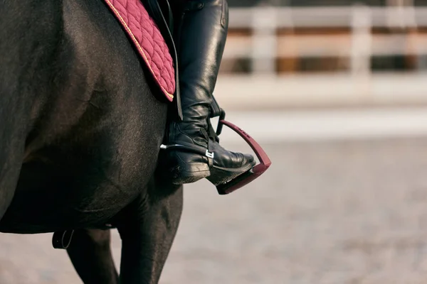 Closeup Riders Foot Stirrup Equestrian Sport Dressage Horses Horseback Riding — Foto de Stock