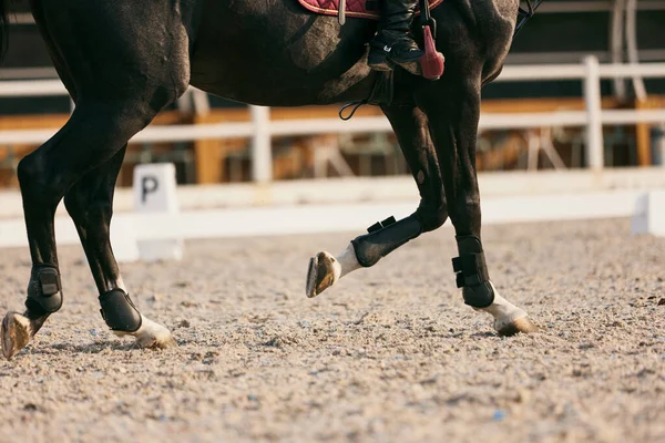 Pies Caballo Deportivo Jinete Corriendo Arena Arena Arena Montar Aire — Foto de Stock