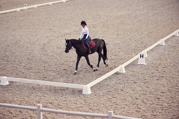 Female Rider Horseback Riding Trot Sandy Arena Countryside Summer Day — Foto de Stock