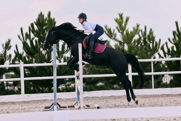 バリアを飛び越えろ 若いスポーツ少女 夏の日に乗馬アリーナで10代の訓練 馬の衣装 乗馬だ スポーツユニフォームのモデル スポーツ 優雅さ アクティブの概念 — ストック写真