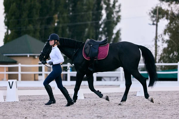 馬術スポーツ 秋の日に乗馬アリーナで10代の女の子 初心者の女性ライダーの訓練の肖像画 馬の衣装 乗馬だ スポーツ 優雅さ アクティブライフスタイルの概念 — ストック写真