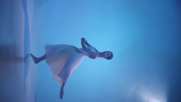 经典芭蕾舞女舞蹈家在表演古典芭蕾舞元素的点点滴滴 白色裙子上的芭蕾舞演员看上去像失重的生物 古典艺术的概念 优雅和优美的动作 — 图库视频影像