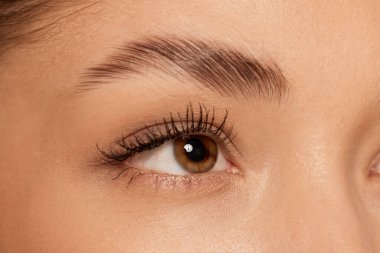 Kahverengi gözlü. Gözlerini kaçıran güzel bir genç kızın portresini yakından çek. Kozmetik, makyaj, doğal ve ekolojik tedavi, cilt bakımı. Parlak ve sağlıklı görünüş, moda, vizyon. Ayrıntılar.