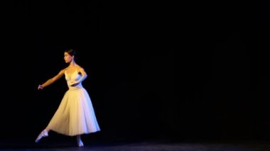 Karanlık sahnede, neon ışıkta dans eden bale elbiseli muhteşem bayan dansçı. Sanat anlayışı, güzellik, tiyatro, klasik müzik. Güzel balerin, spot ışıkları altında sivri ayakkabılarla dans ediyor..