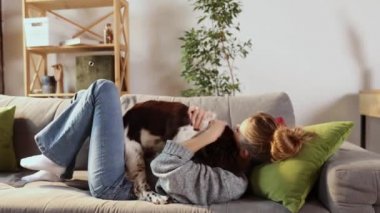 Genç, mutlu, gülümseyen bir kadının çekimi sevimli İngiliz spanyel köpeğini sevgiyle oynarken evdeki oturma odasında halının üzerinde birlikte eğleniyor. Arkadaşlık, evcil hayvan konsepti