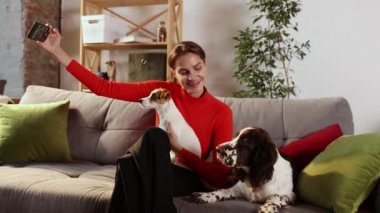 Evde oturma odasında kanepede birlikte eğlenirken, İngiliz spanyel spanyel ve Jack Russell Terrier köpeğiyle selfie çeken mutlu genç bir kadın. Dostluk, evcil hayvan