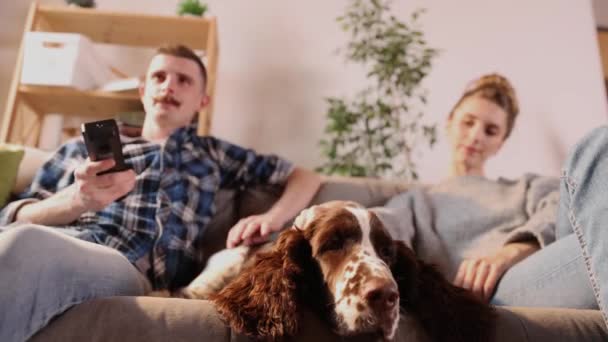 Glückliches Junges Paar Beim Spielen Und Entspannen Mit Hund Hause — Stockvideo