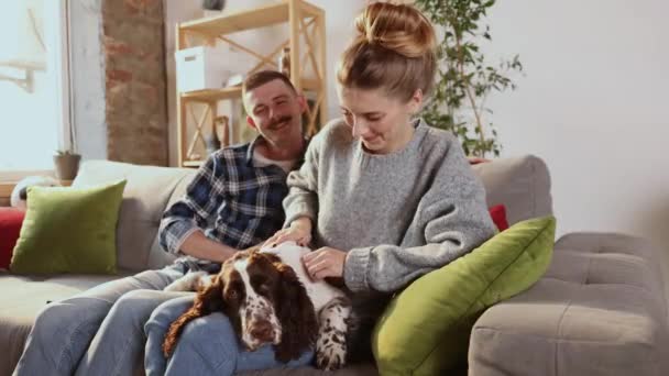 Jovens Casais Felizes Brincando Relaxando Com Cão Estimação Casa Retrato — Vídeo de Stock