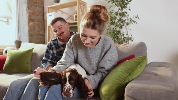 Glückliches Junges Paar Beim Spielen Und Entspannen Mit Hund Hause — Stockvideo