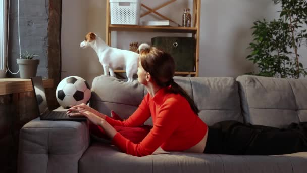 Jonge Vrouw Gebruikt Laptop Ligt Met Jack Russell Terrier Hond — Stockvideo