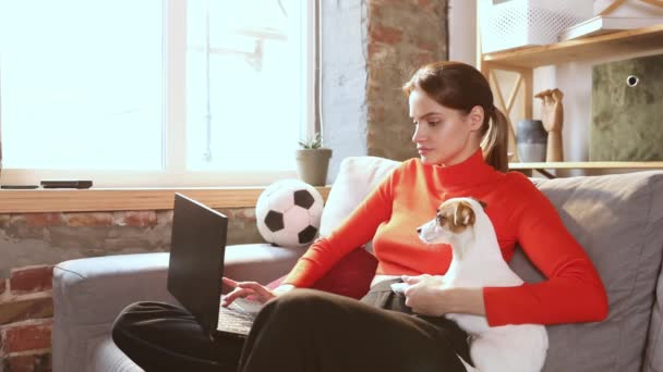 Giovane Donna Sta Usando Computer Portatile Sdraiato Con Jack Russell — Video Stock