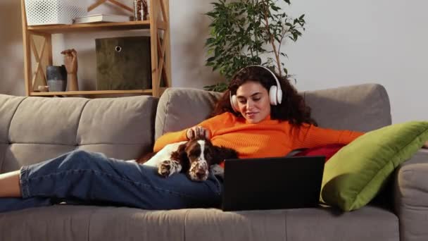 Jovem Mulher Está Usando Laptop Deitado Com Cão Springer Spaniel — Vídeo de Stock