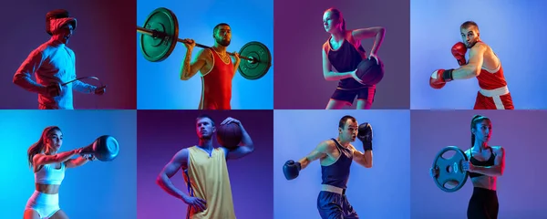 Basket Boxning Fäktning Karate Fitness Och Tyngdlyftning Collage Professionella Idrottare — Stockfoto