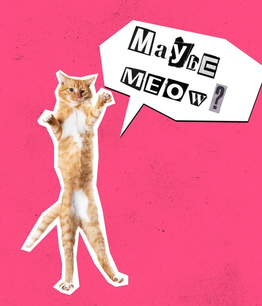 現代アートのコラージュ ピンクの背景に隔離された幸せな面白い猫と雑誌スタイルのデザイン 人間の感情を持つ動物 シュールレアリズム 楽しさ 創造性 インスピレーションの概念 — ストック写真