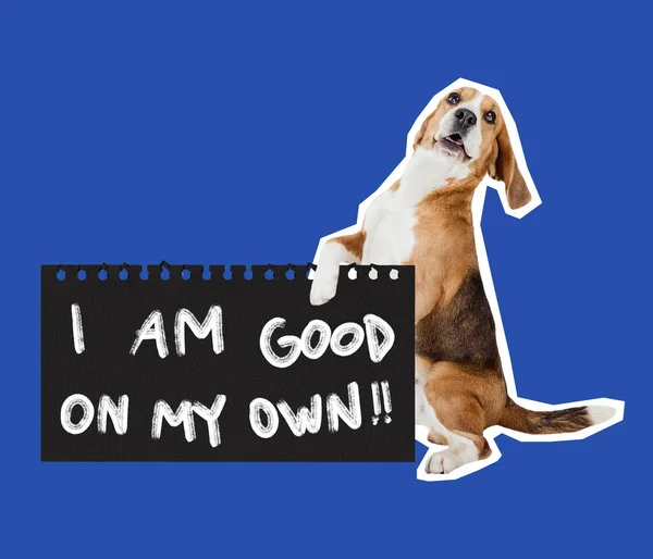 Сам Справлюсь Современный Художественный Коллаж Дизайн Стиле Журнала Забавной Собакой — стоковое фото