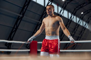 İp atlama. Genç kaslı adam, spor salonundaki boks ringinde boksör antrenmanı. Sağlık, motivasyon ve egzersiz, spor, zorluklar, strateji. Dövüş, kas ve spor eldivenleriyle annelik stüdyosunda egzersiz..