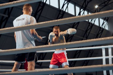 Güç, saldırı ve hareket konsepti. Boks eldivenli ve şortlu üstsüz kaslı sporcu spor salonunda boks ringinde yumruk antrenmanı yapıyor. Kişisel antrenör, takım antrenörü.