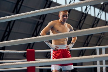Düşünüyorum. Genç kaslı adam, spor salonundaki boks ringinde boksör antrenmanı. Sağlık, motivasyon ve egzersiz, spor, zorluklar, strateji. Dövüş, kas ve spor eldivenleriyle annelik stüdyosunda egzersiz..