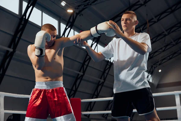 Güç, saldırı ve hareket konsepti. Boks eldivenli ve şortlu üstsüz kaslı sporcu spor salonunda boks ringinde yumruk antrenmanı yapıyor. Kişisel antrenör, takım antrenörü.