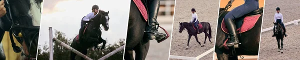 马术运动 一套少女的形象 初学者的女子骑手训练在骑竞技场的秋日 骑着马的人 马背上骑马 积极的概念 — 图库照片