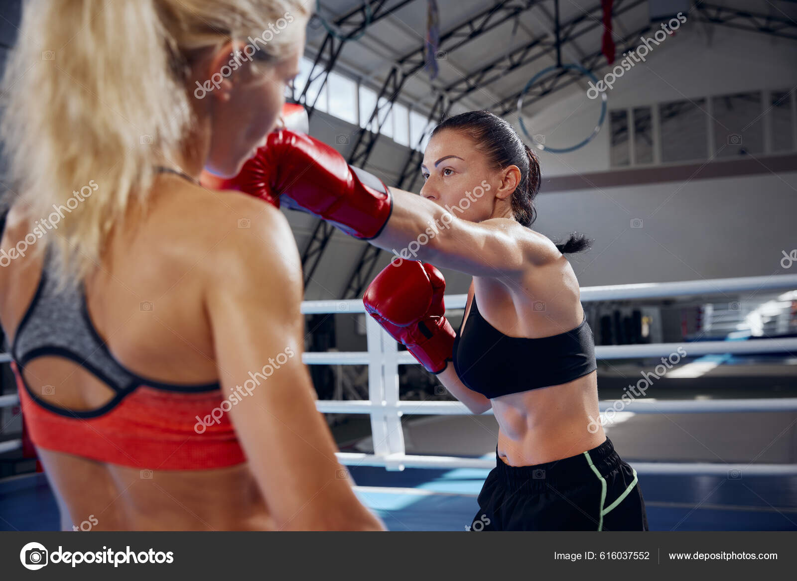 Left Hook Punch Two Female Professional Boxers Boxing Boxing Ring