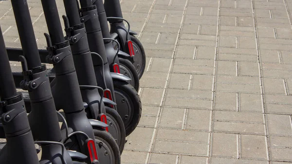 Vários scooters elétricos pretos estacionados em uma fileira, para alugar . — Fotografia de Stock