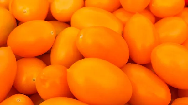 Bir vitrindeki domateslerin portakallı meyvelerinin arka planı. — Stok fotoğraf
