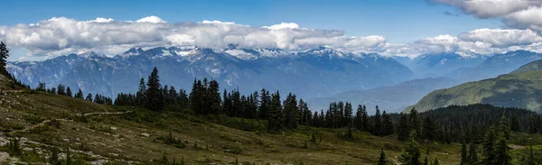 Krásný Výhled Túru Elfin Lakes Národním Parku Garibaldi Britská Kolumbie — Stock fotografie