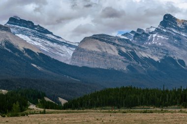 Jasper Provincial Park, Alberta, Kanada 'daki zirvelerin ve buzulların çarpıcı manzarası. Ön planda yeşil ağaçlar ve çimenler.
