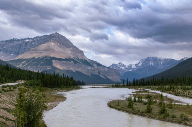 Jasper Provincial Park, Alberta, Kanada 'daki zirvelerin ve buzulların çarpıcı manzarası. Önde yeşil ağaçlar, çimenler ve nehir var.