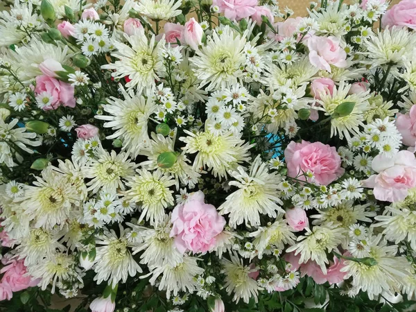 Draufsicht Schöne Weiße Und Rosa Blumen Blühen Für Textur Hintergrund — Stockfoto