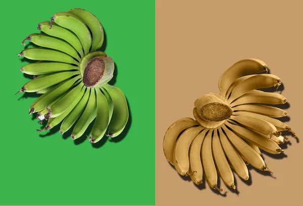 Primer Plano Manojo Plátano Fresco Color Verde Oro Aislado Sobre —  Fotos de Stock