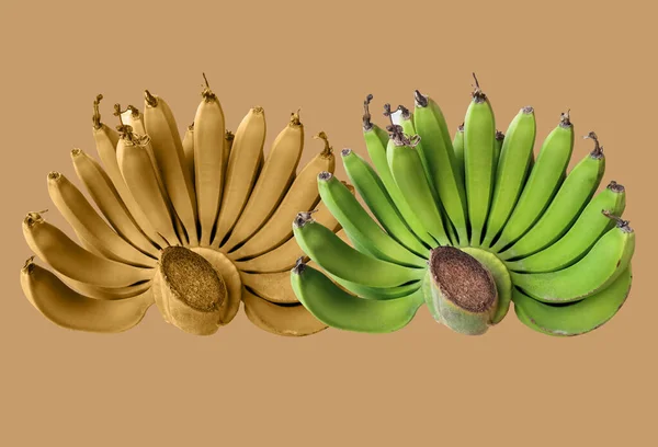 Zbliżenie Świeże Banany Garść Złota Zielony Kolor Odizolowany Blady Ciepły — Zdjęcie stockowe