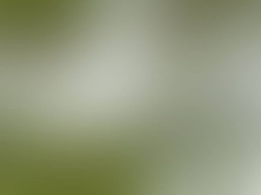 Arka plan ya da stok fotoğrafı için beyaz gri desenli arka plan bulanıklığı. Soyut arka plan koyu yeşil tasarım, doku, reklamcılık, pazarlama, sunum