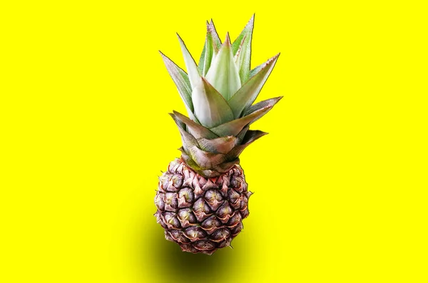 写真やデザインの広告製品のための黄色の背景に隔離されたシングルパイナップル熟したトップビュー タイのフルーツ夏 アナナの写真 — ストック写真