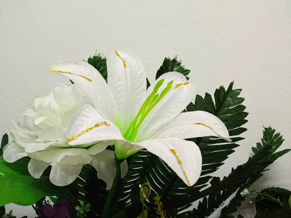 Yakın plan, güzel beyaz zambak çiçeği beyaz çimento duvarda çiçek açıyor stok fotoğrafı için arka plan, tropikal yaz, en üst veiw fotoğraf, yeşil, yaprak  