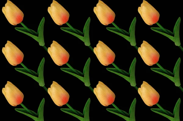 Vista Superior Colección Tulipanes Anaranjados Flor Aislada Sobre Fondo Negro —  Fotos de Stock
