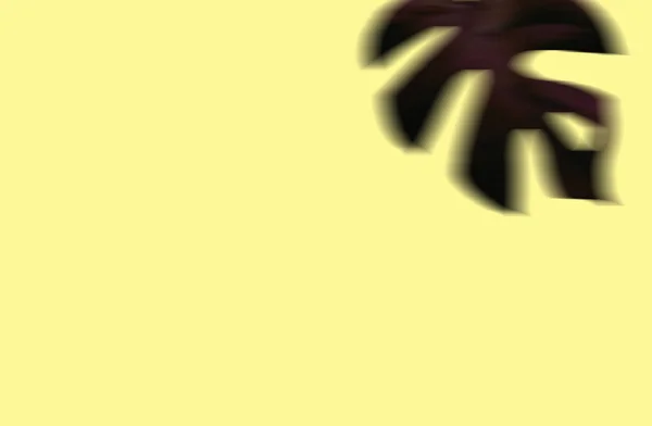Топлес Розмитий Листя Монстери Темніший Фіолетовий Колір Дзьоб Ізольований Пастельно — стокове фото