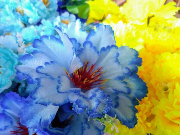 Closeup Beautiful Blue Flower Blurred Floral Background Design Stock Photo — Stockfoto