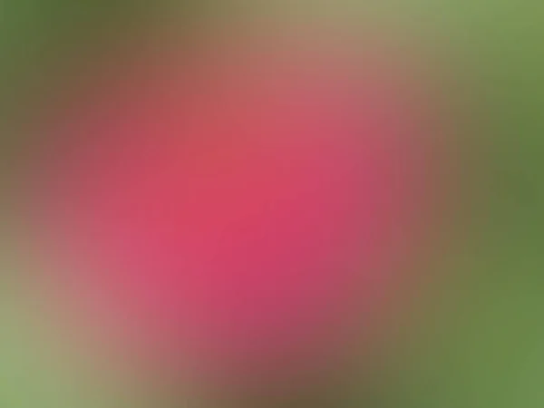 Top View Abstract Blurred Pink Green Color Painted Texture Background — ストック写真