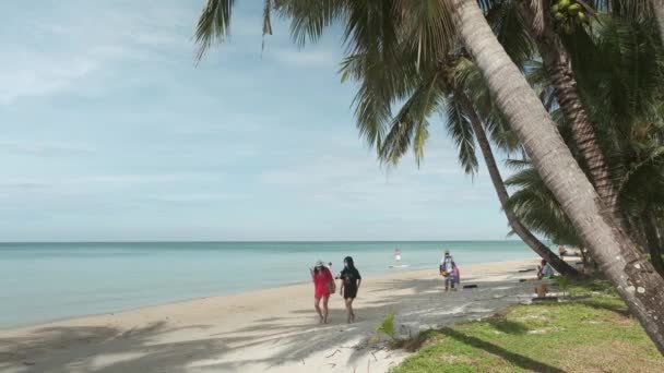 Bílá písečná pláž s modrou vodou, obloha, palmy a turisté — Stock video