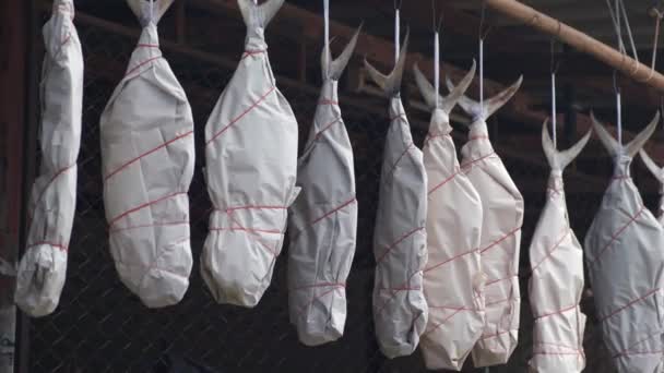 타이에 매달려 있는 소금에 절인 생선 — 비디오