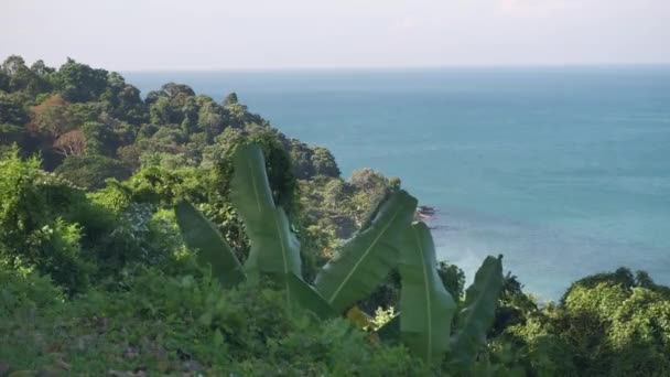 有椰子树的热带岛屿的4k段录像 — 图库视频影像